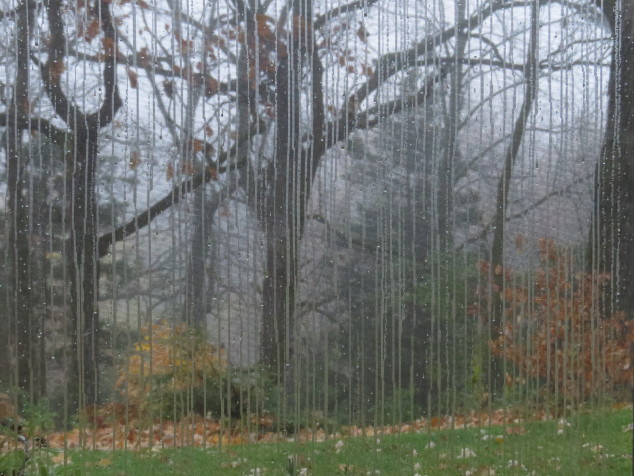 Rain on screened porch