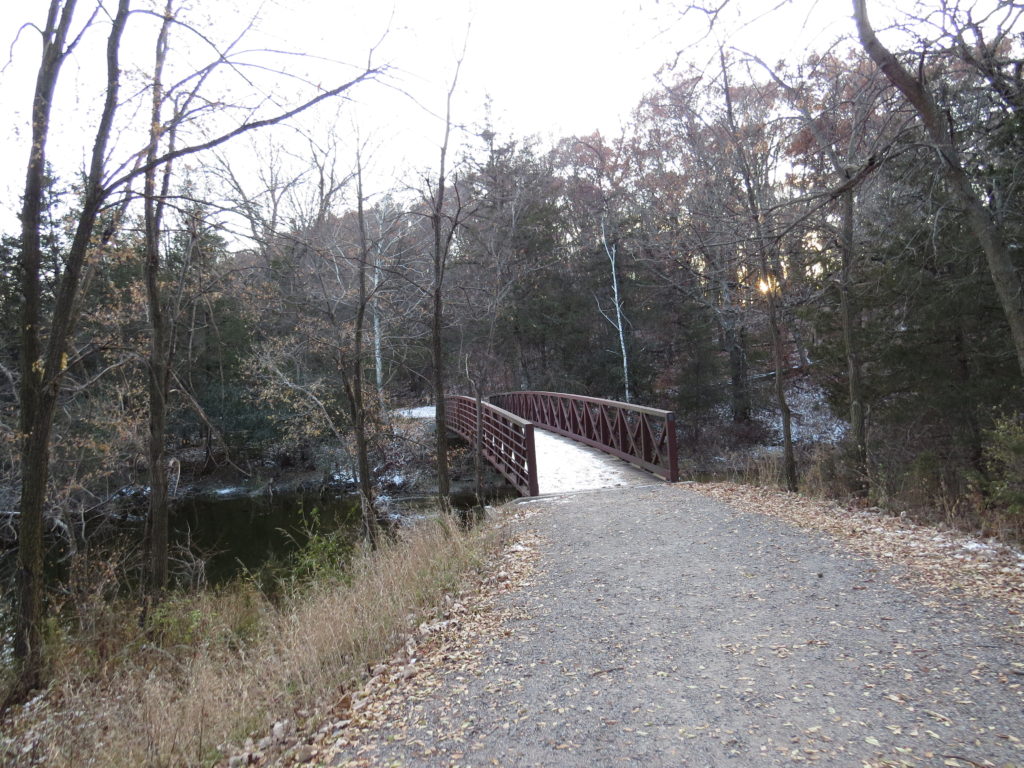 bridge to the pine forest